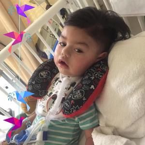 Meet your Posher, Sandy